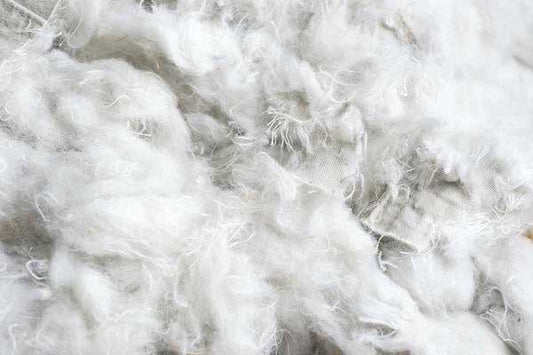 Coton Recyclé - Fibre de Coton