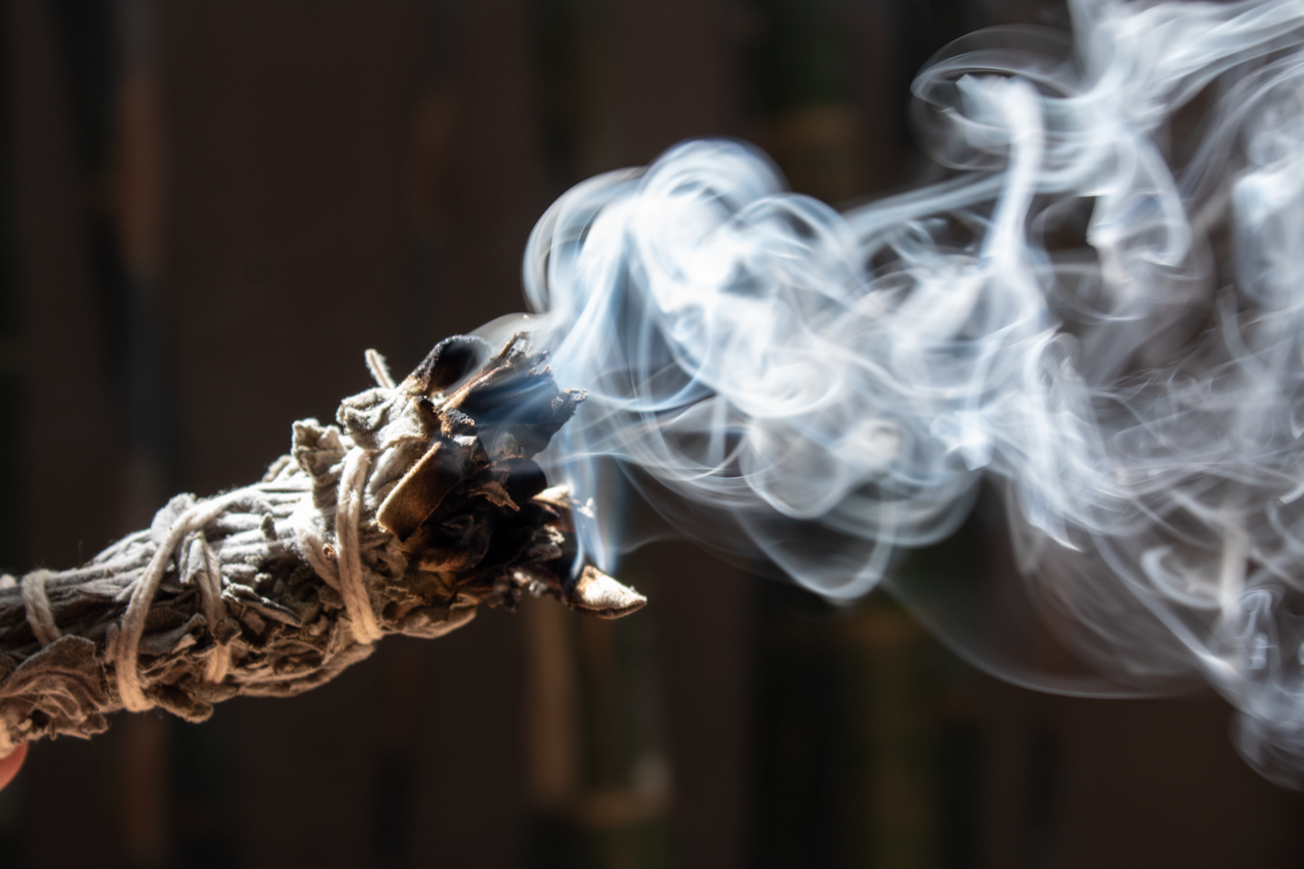 Sage fumigation stick