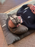 Restorative Relaxation Pack: Futon and Meditation Essentials