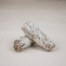 Sauge Blanche